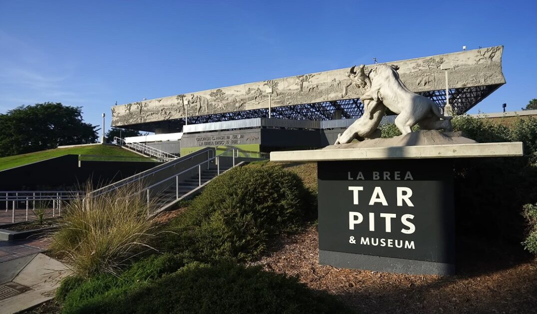 The La Brea Tar Pits Museum