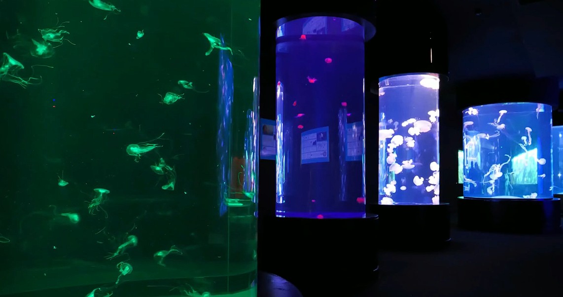 Είναι τα Κανάρια Νησιά ασφαλή για επίσκεψη; 5 Κανάρια Νησιά