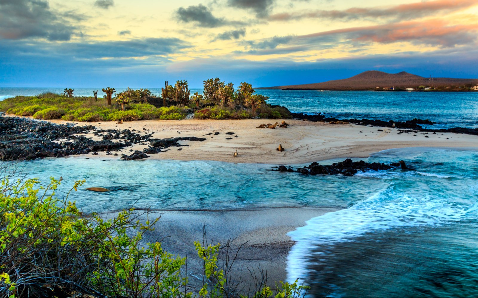 Ποια είναι η καλύτερη εποχή για να επισκεφτείτε τα νησιά Γκαλαπάγκος;