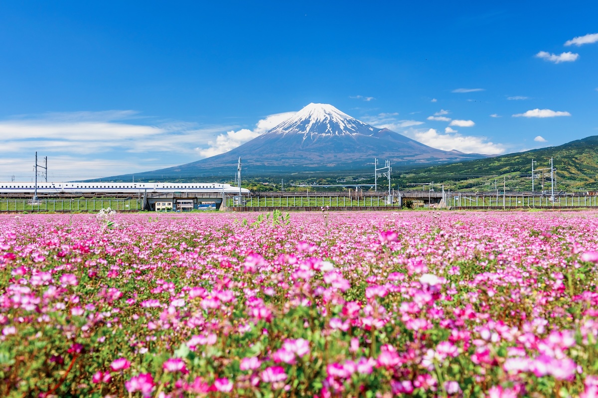 Mount Fuji Train