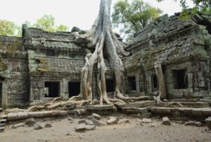 Επίσκεψη στο Ta Prohm: Μέσα στο ναό Tomb Raider της Καμπότζης 14 Επίσκεψη στο Ta Prohm: Μέσα στο ναό Tomb Raider της Καμπότζης