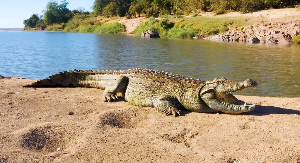 Νότια Αφρική