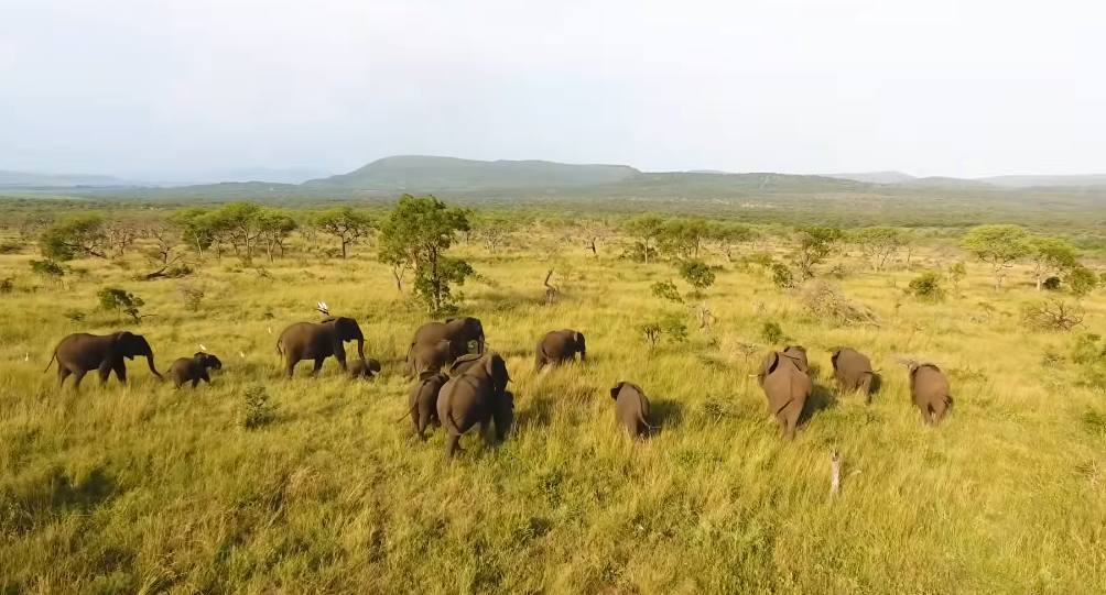 Νότια Αφρική