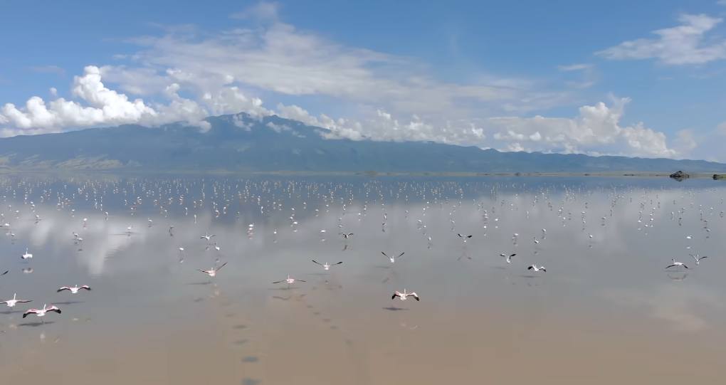 Νότια Αφρική