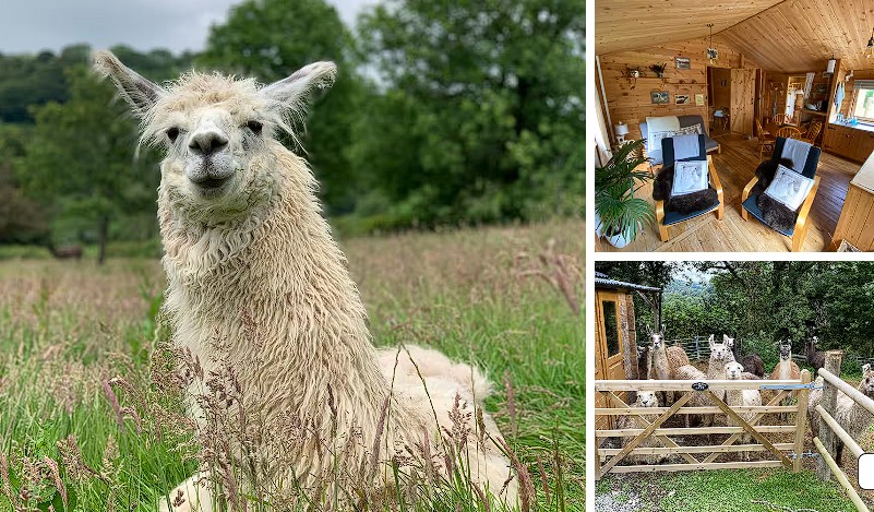 Airbnb στην Ουαλία