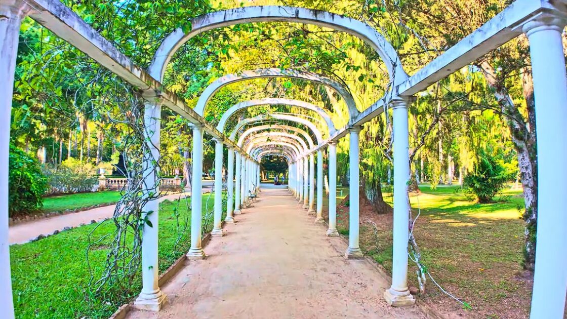 25 πιο όμορφοι βοτανικοί κήποι στον κόσμο 8 Botanical Garden Rio de Janeiro