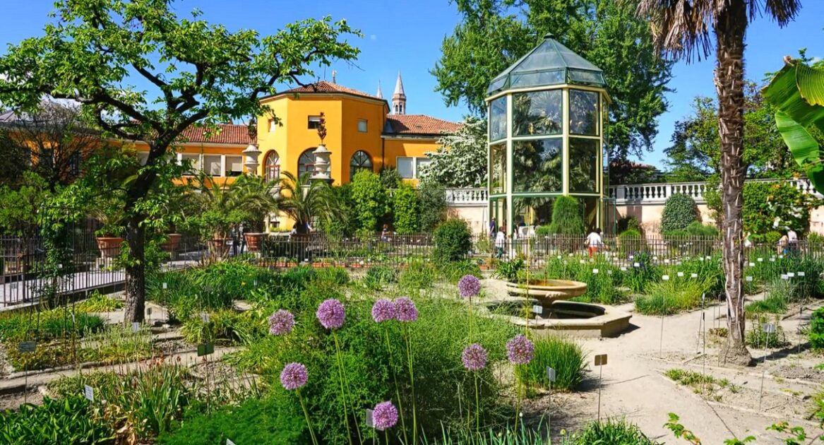25 πιο όμορφοι βοτανικοί κήποι στον κόσμο 4 Botanical Garden of Padua
