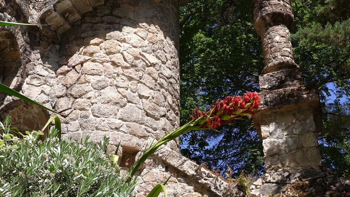 25 πιο όμορφοι βοτανικοί κήποι στον κόσμο 6 Quinta da Regaleira Gardens Sintra
