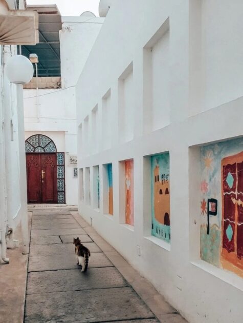 Αραβικές χώρες τον χειμώνα: Μια λίστα με τα πράγματα πέρα από την παραλία 14 image