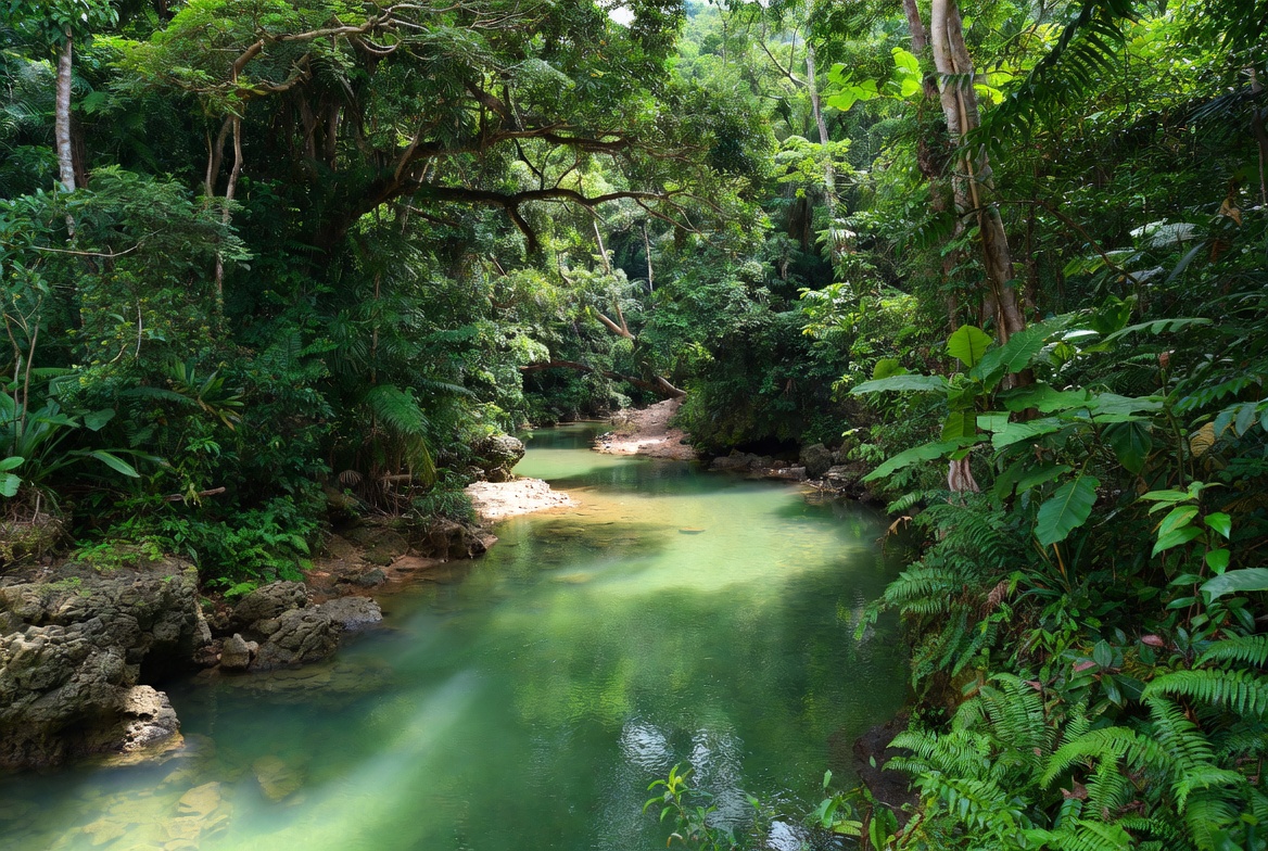 Μην πάτε στον υπόγειο ποταμό Πουέρτο Πρινσέσα του Παλαουάν χωρίς να διαβάσετε πρώτα αυτό! 16 Μην πάτε στον υπόγειο ποταμό Πουέρτο Πρινσέσα του Παλαουάν χωρίς να διαβάσετε πρώτα αυτό!