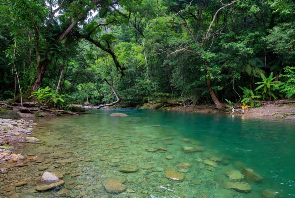 Μην πάτε στον υπόγειο ποταμό Πουέρτο Πρινσέσα του Παλαουάν χωρίς να διαβάσετε πρώτα αυτό! 4 ποταμό Πουέρτο Πρινσέσα του Παλαουάν