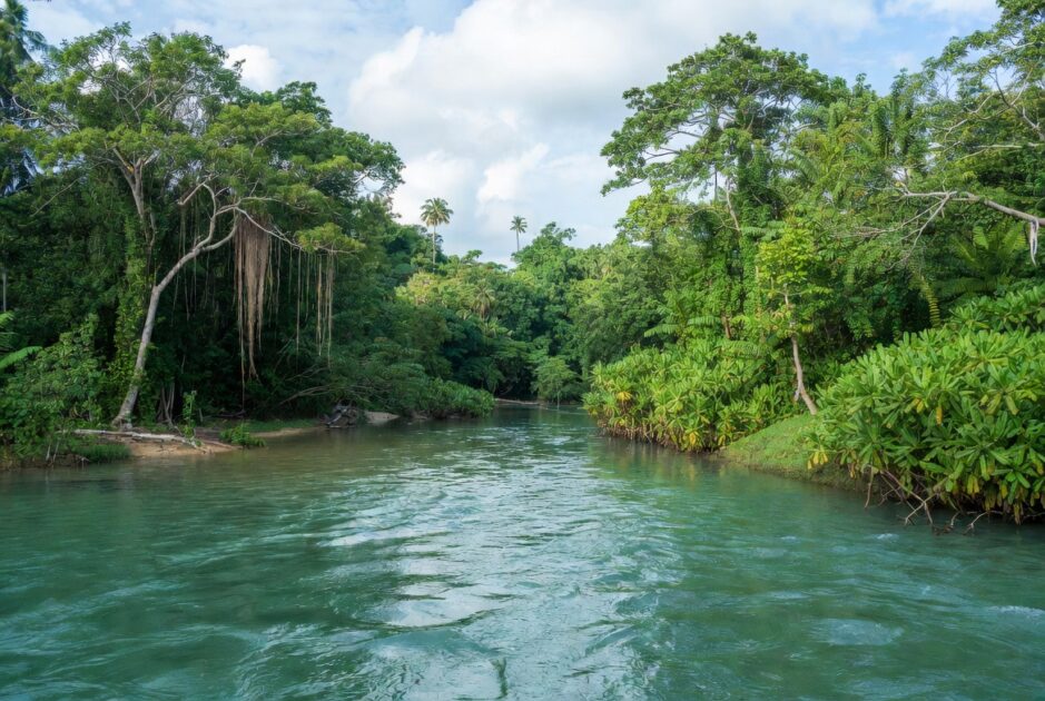 Μην πάτε στον υπόγειο ποταμό Πουέρτο Πρινσέσα του Παλαουάν χωρίς να διαβάσετε πρώτα αυτό! 5 ποταμό Πουέρτο Πρινσέσα του Παλαουάν