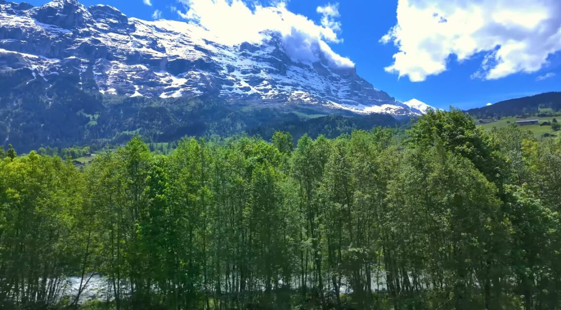 Πώς να πάρετε το τρένο στην Ελβετία: Ένας οδηγός βήμα προς βήμα! 6 τρένο στην Ελβετία
