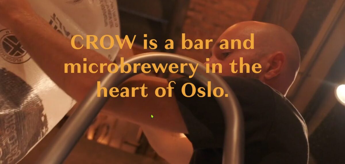 48 ώρες στο Όσλο της Νορβηγίας 5 crow