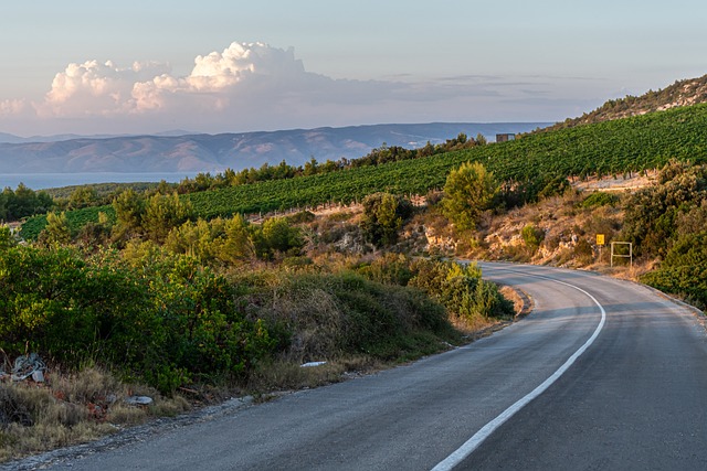 Οδηγός επισκέπτη για την Korčula της Κροατίας 6 Αμπελώνες λόφων με θέα στη θάλασσα στην Κροατία