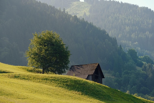 Ένα σαββατοκύριακο στο Gramado, ο αλπικός προορισμός της Βραζιλίας 3 Καλύβα μέσα στο δάσος της Βραζιλίας