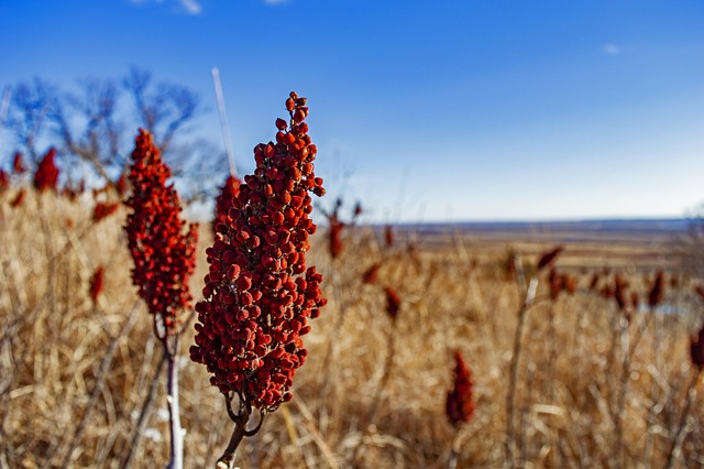 Interstate 90 Νότια Ντακότα: Ένα Road Trip στα Badlands & στο Wall Drug 5 Ποταμός Missouri Chamberlain