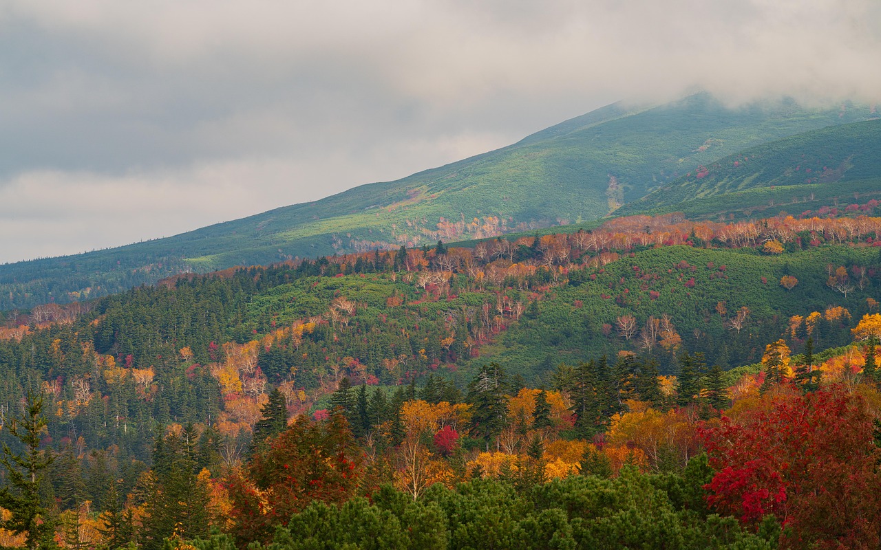 10 Καλύτερα Νησιά για Επίσκεψη τον Οκτώβριο 6 Hokkaido Ιαπωνία φθινόπωρο