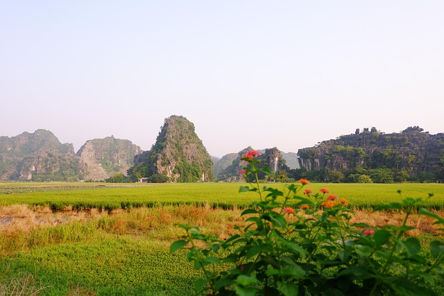 Ορυζώνες και ασβεστολιθικοί βράχοι στο Ninh Binh του Βιετνάμ
