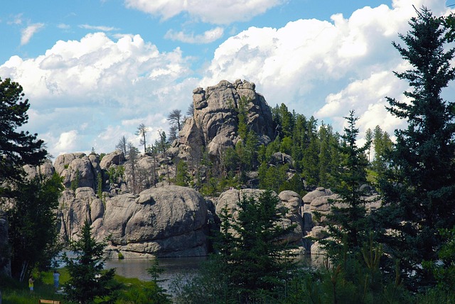 Mount Rushmore τη νύχτα: Φωτισμός, μονοπάτι και ιστορία 6 Πευκόδασος στους Black Hills
