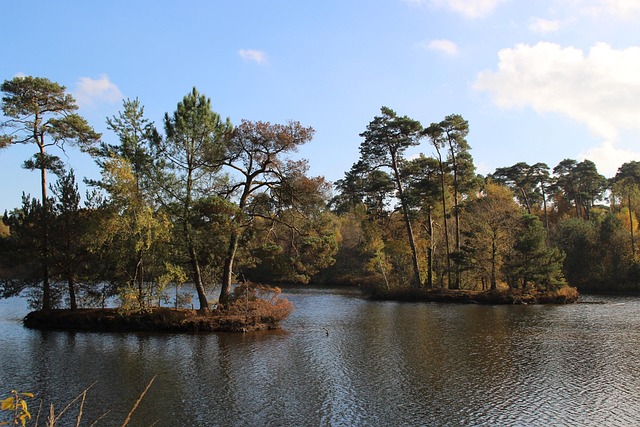 Τα 9 θέρετρα Center Parcs στην Ολλανδία 3 Ολλανδία δάσος λίμνη