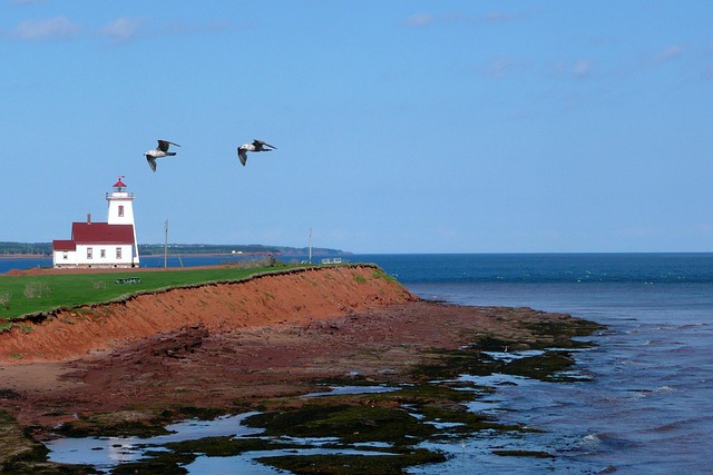 Prince Edward Island: Τετραήμερο με αμμόλοφους, θαλασσινά και πανδοχεία 1 Οι κόκκινες ακτές του Prince Edward Island
